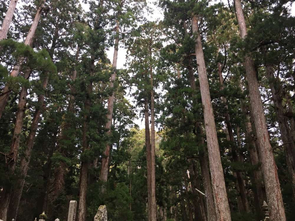 高野山