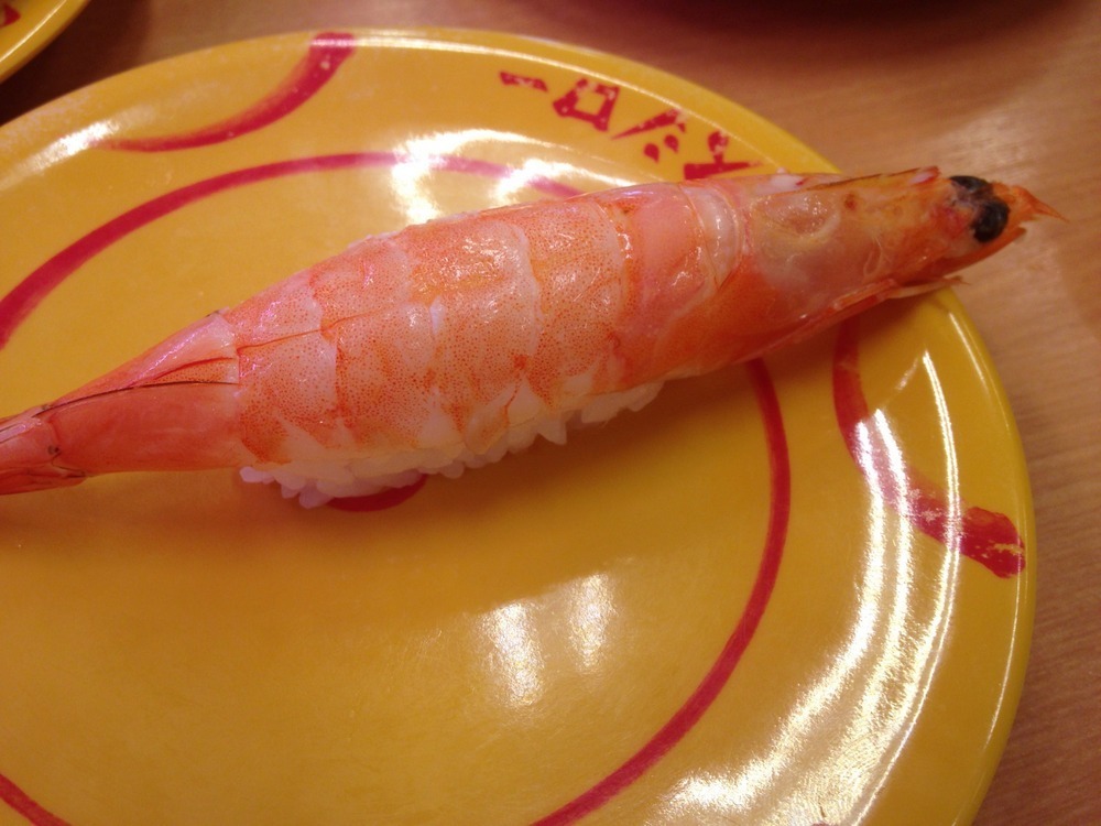 活〆エビ